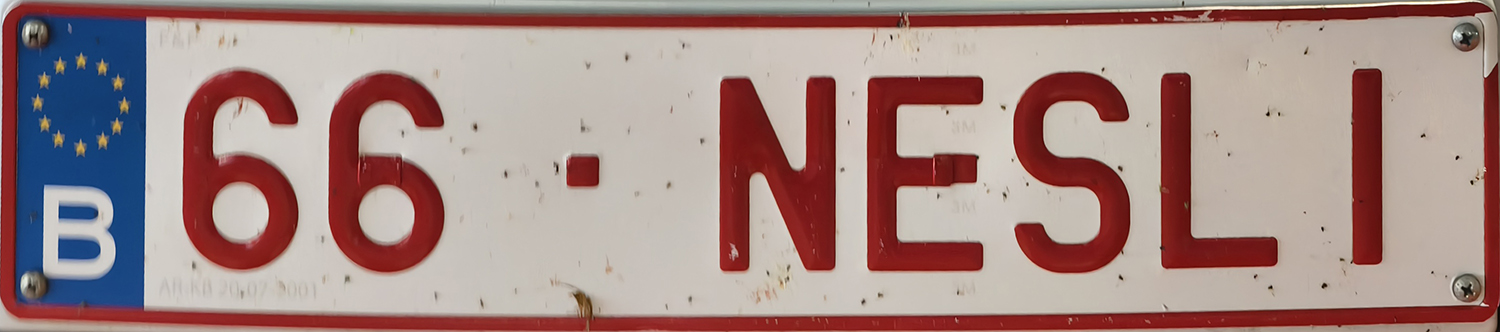 66-NESLI